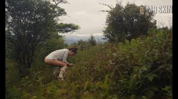 Laia Costa in Maine (2018) Bush Butt Breasts Bush 275594