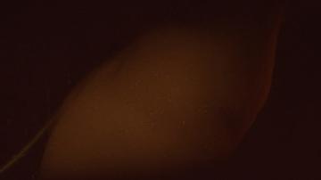 Margaret Qualley in IO (2019) Butt Sexy Butt Sexy 277461