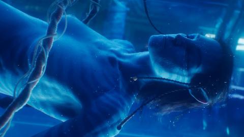 Kiri from Avatar: The Way of Water Naked. Breasts, Cgi. 344525