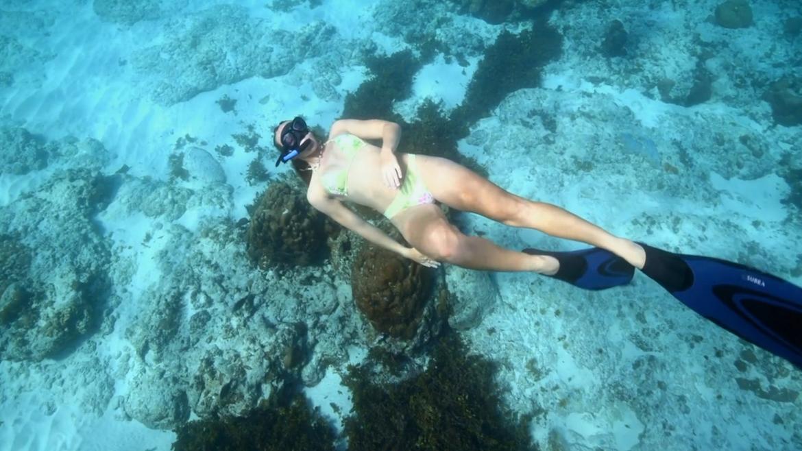 Tzarina Mace Ralph, Marina Marcondes de Barros, Brianna Duffield, Lara Rigby, Alesia Harris, Adair Werley in Below Deck Down Under (2022) Bikini Sexy 