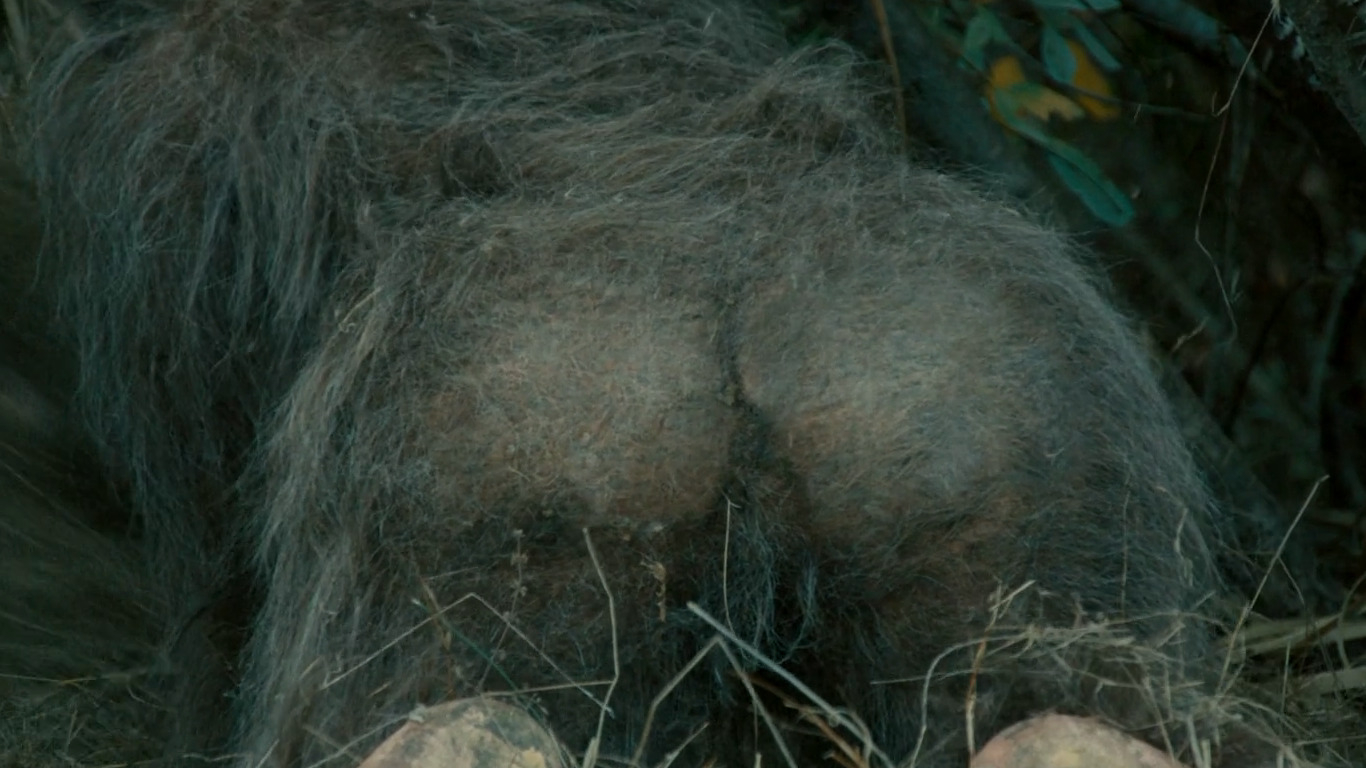 Nudes of The Female from Sasquatch Sunset. Breasts, Bush, Butt, Prosthetic, sexy. 349146