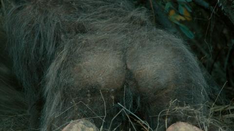Nudes of The Female from Sasquatch Sunset. Breasts, Bush, Butt, Prosthetic, sexy. 349146