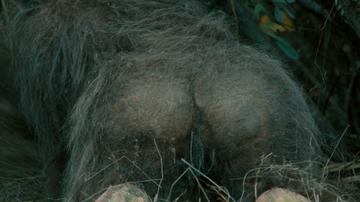 Riley Keough in Sasquatch Sunset (2024) Breasts Bush Butt Prosthetic Breasts Bush 349146