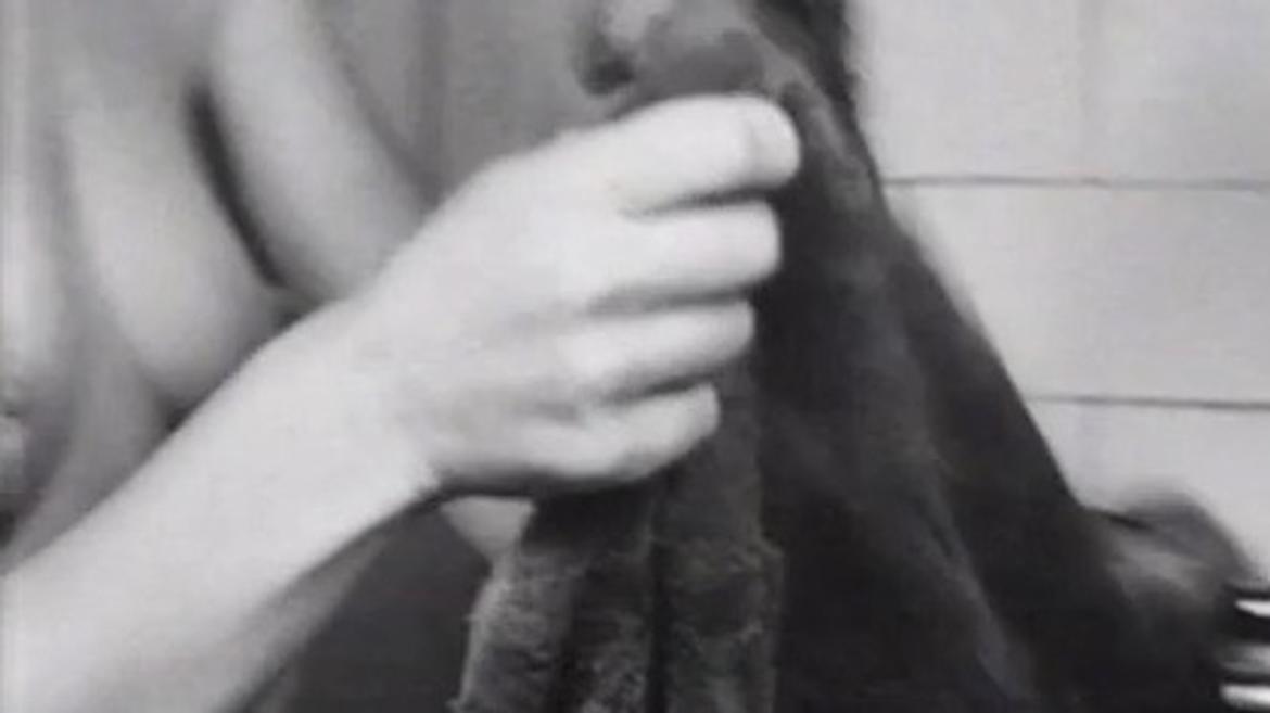 Eileen Chapman in Two Thousand Weeks (1969) Breasts Sexy Underwear Bikini Breasts 347630