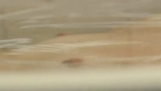 Angela Bundalovic in Copenhagen Does Not Exist (2023) Breasts Breasts Sexy 350517