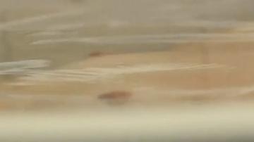 Angela Bundalovic in Copenhagen Does Not Exist (2023) Breasts Breasts Sexy 350517