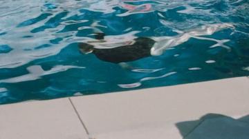 Elisabeth Moss in Shell (2024) Sexy Sexy Underwear 355184