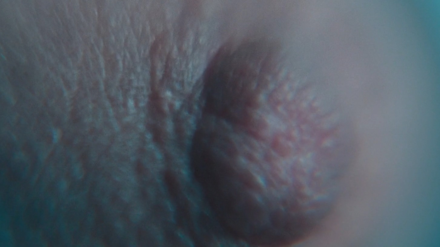 Edith Proust Nude in Else. Breasts, sexy, thong. 354106