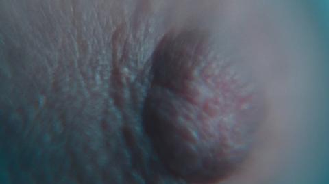 Edith Proust Nude in Else. Breasts, sexy, thong. 354106