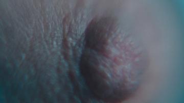 Edith Proust in Else (2024) Breasts Breasts Sexy 354106