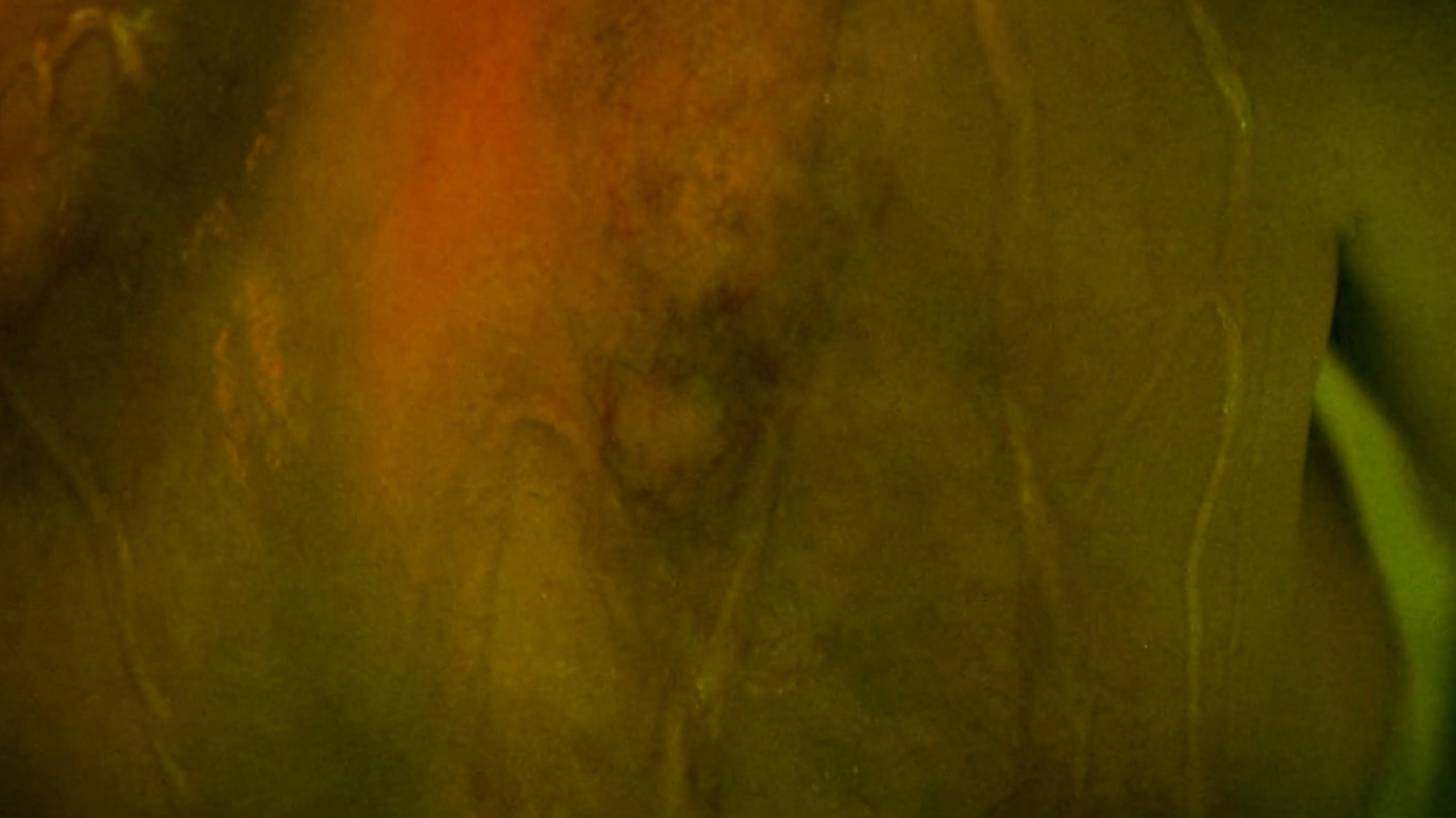 Eiza González in Ash (2025) Sexy Sexy 353708