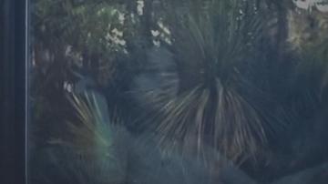 Mathilde Ollivier in The Wailing (2024) Breasts Breasts 355540