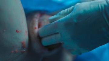 Elle Fanning in Margo's Got Money Troubles (2026) Bush Prosthetic Breasts Bush 356872