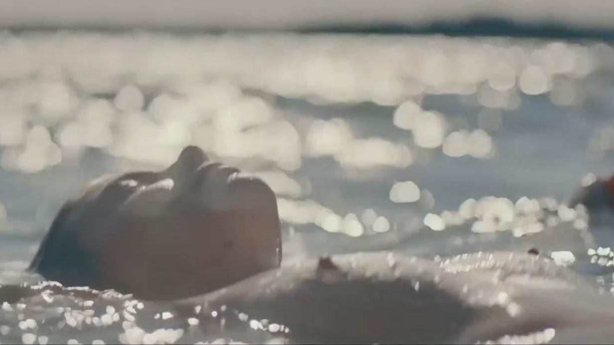 Saara Kotkaniemi Nude in Power of Love. Breasts, bikini, sexy. 357856